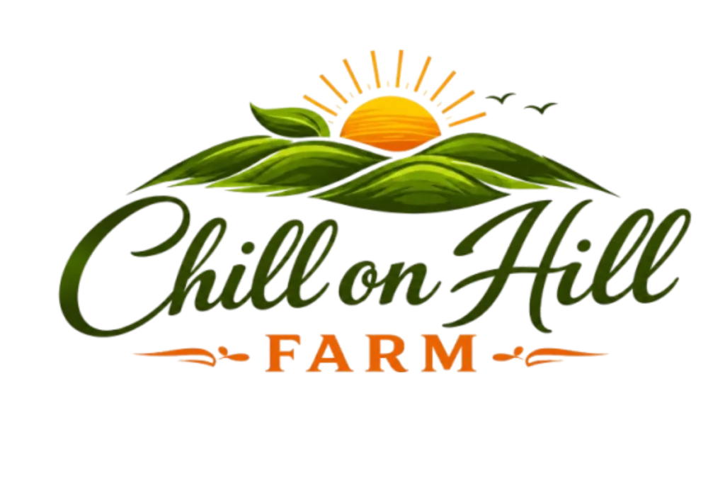 Chill on Hill Farm